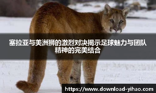 关键词4